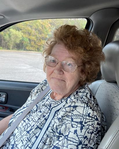 Susan Diane Stokes's obituary image
