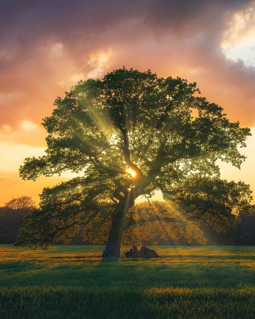 Gerald "Jerry" Lee Giandomenico Profile Photo