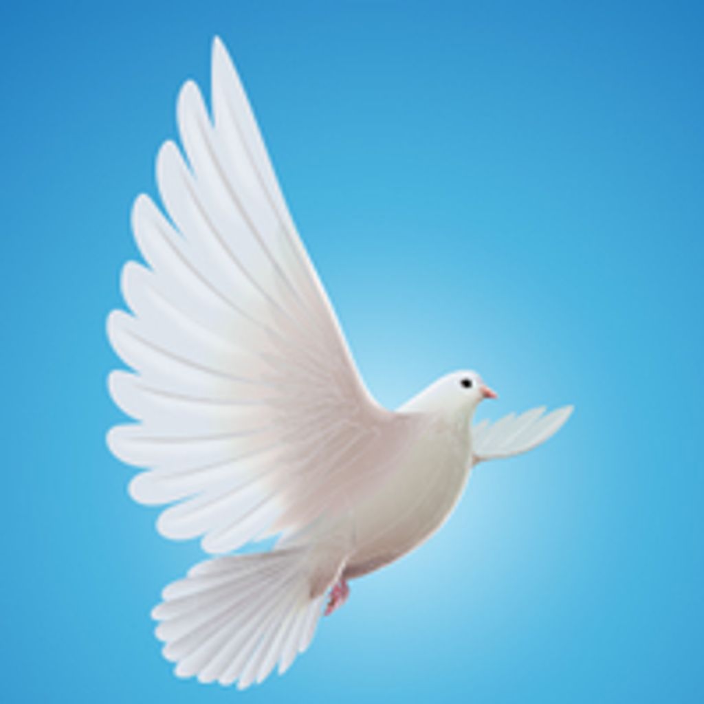 Mildred Valachovic Profile Photo