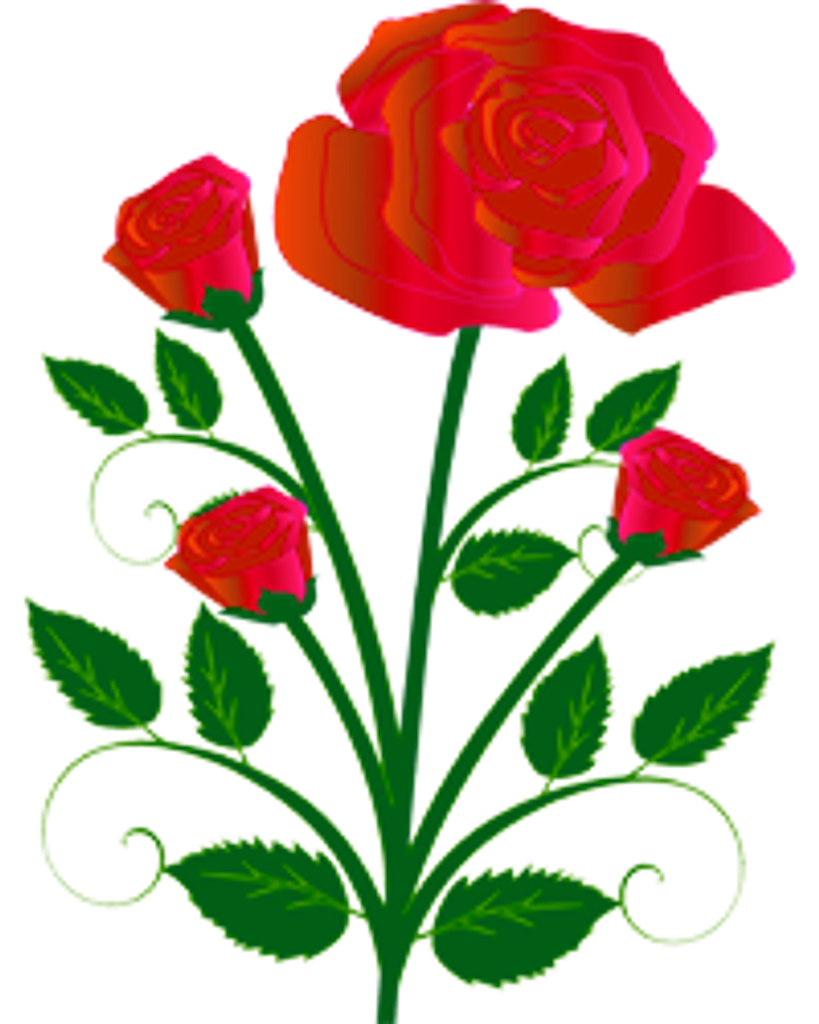 Julia (Rossman) Miller Profile Photo