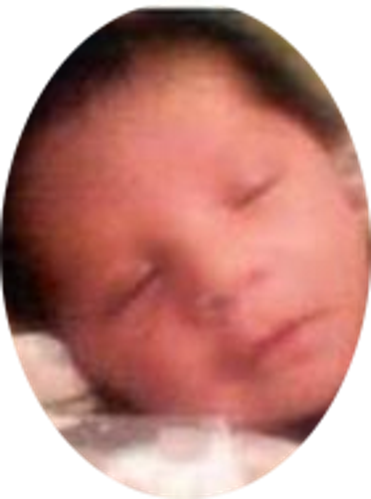 Phoenix Johnson