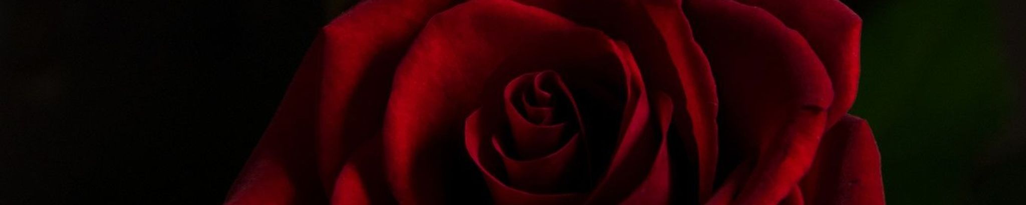 Cover photo for Sandra Camilie Coco's Obituary
