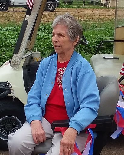 Joan Arlene Cook's obituary image