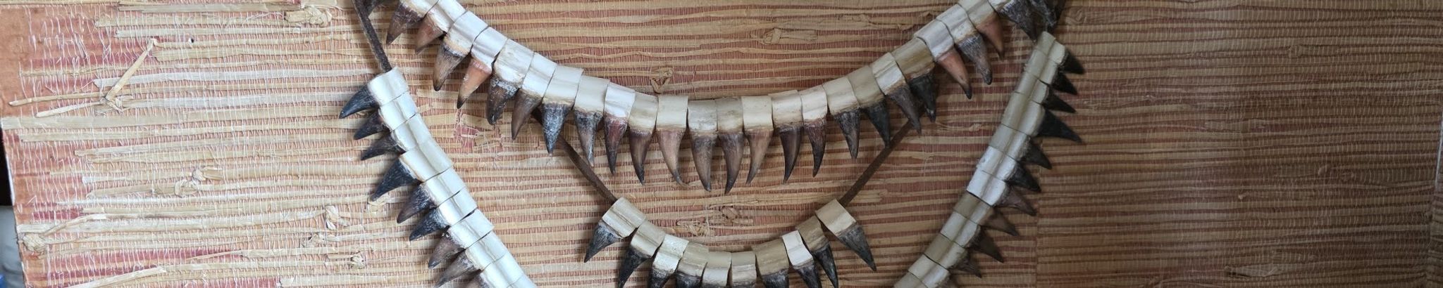 Cover for Claude Chambers Strother, Jr.'s Obituary