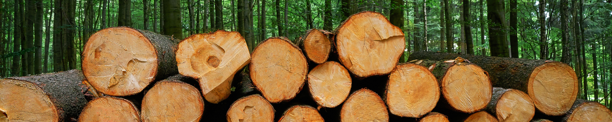 Cover for Lloyd Ottis Booth's Obituary