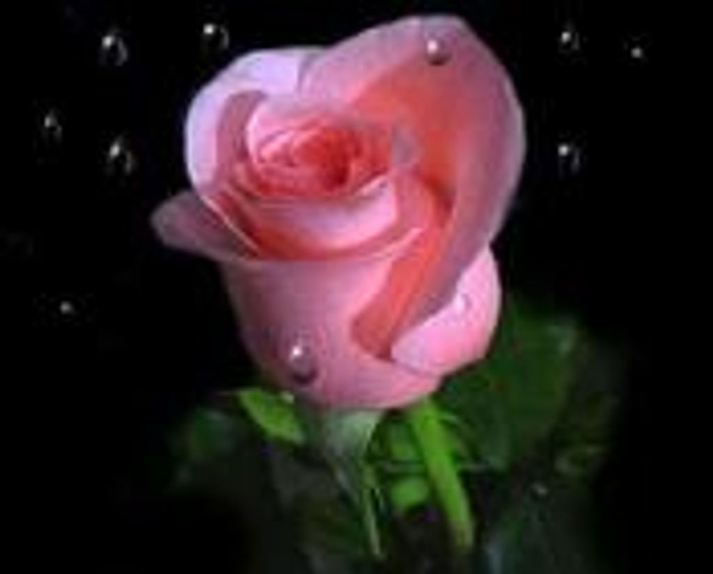 Leeta Marks Lagerstrom