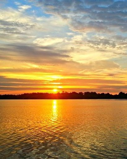 Cherie Swartz's obituary image