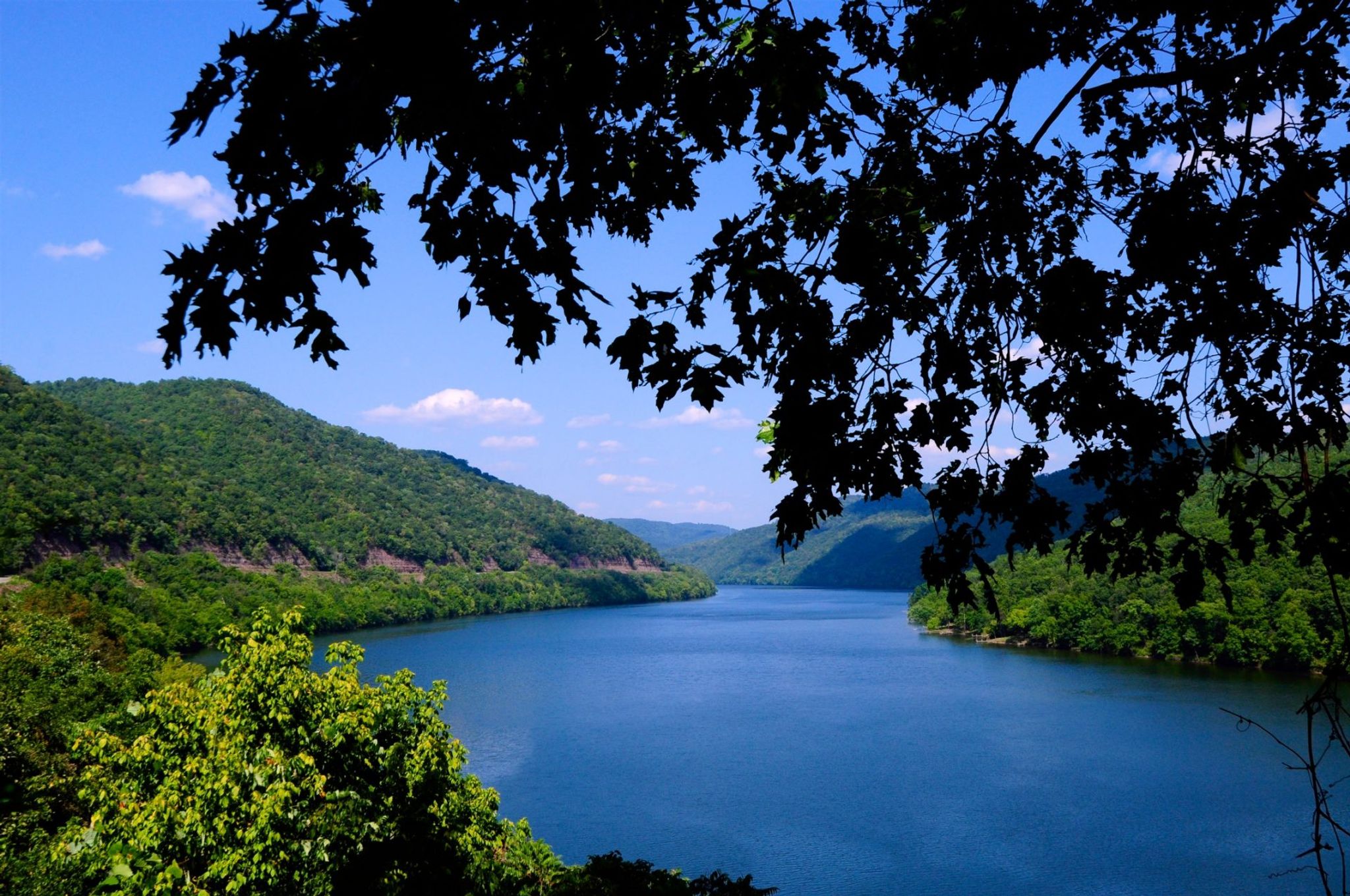 Cover photo for Craig A. Lanham's Obituary