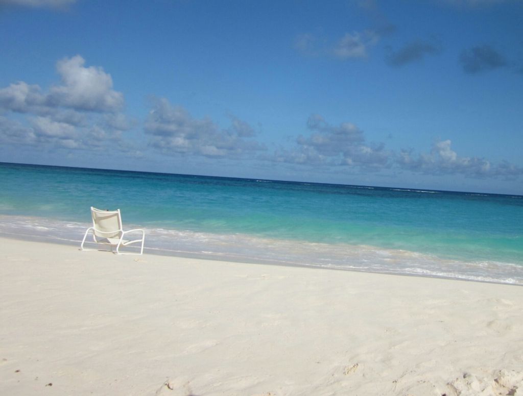 Bettie E. (Kolenda)  Capozzoli Profile Photo