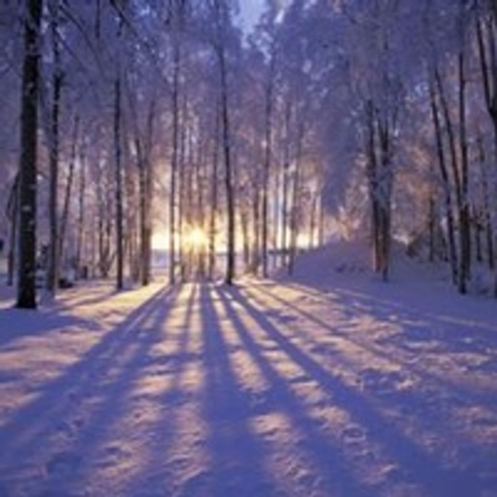 Orphus Finis Lawrence