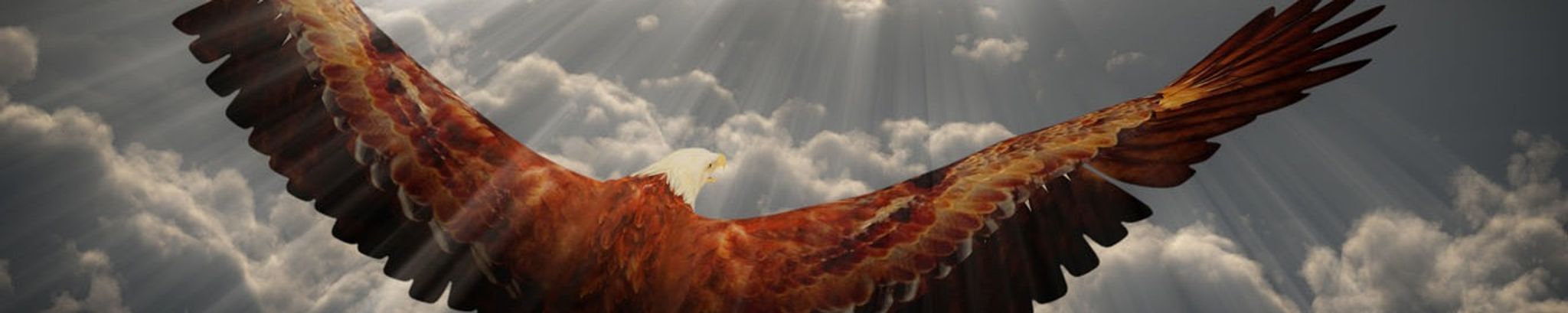 Cover for Kyle James Grignon's Obituary