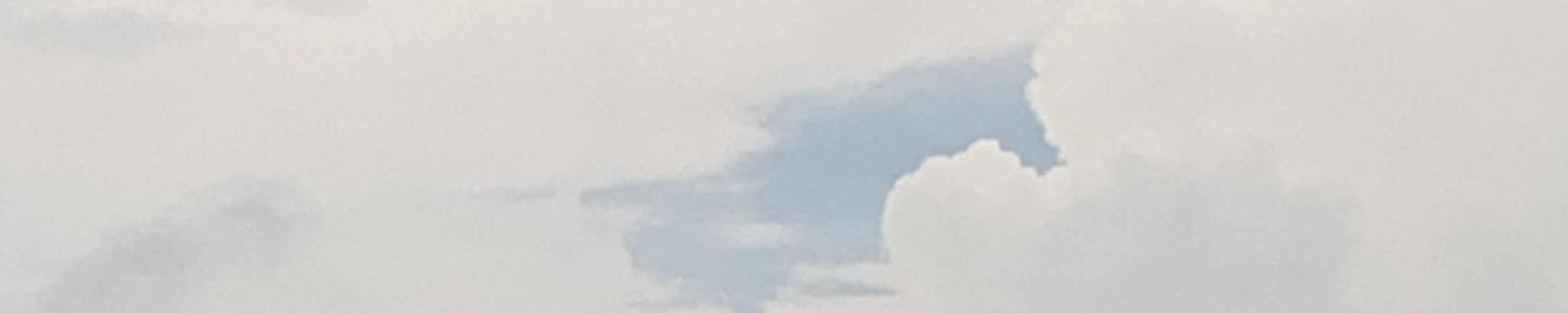 Cover for Nicholas James Seifert's Obituary