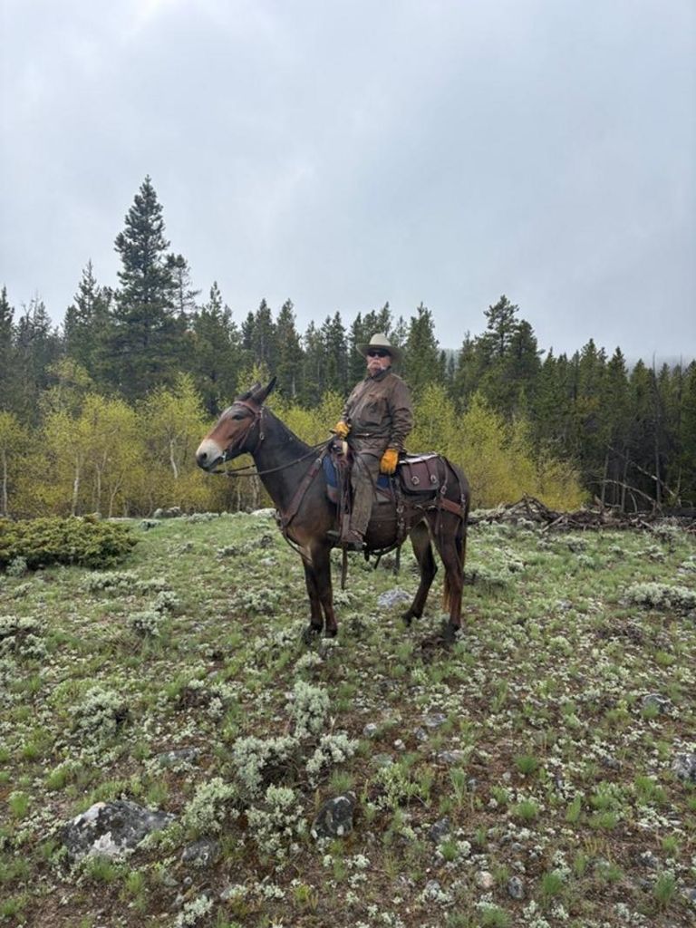 William "Bill" Jones Profile Photo