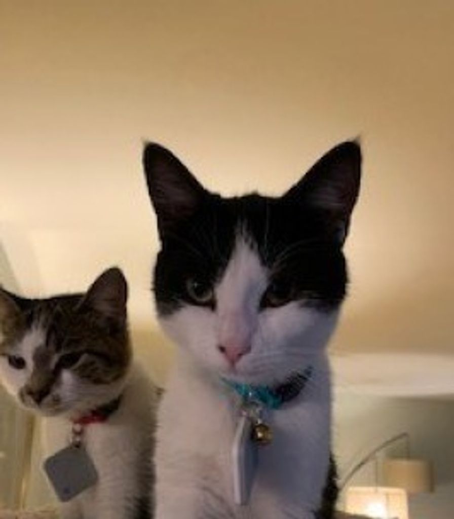 Holly & Noel Profile Photo