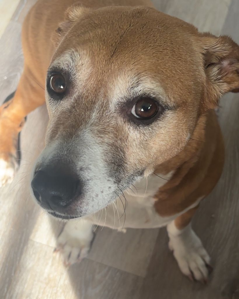Copper Duarte