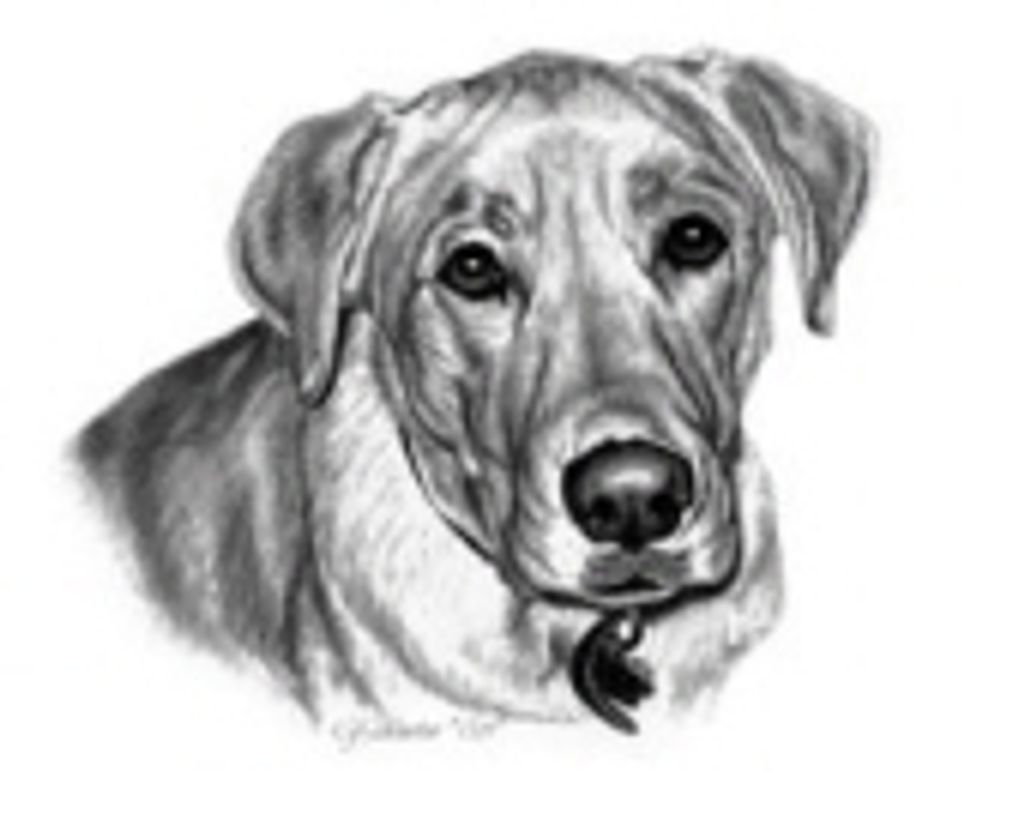 Maggie Tabaczka Profile Photo