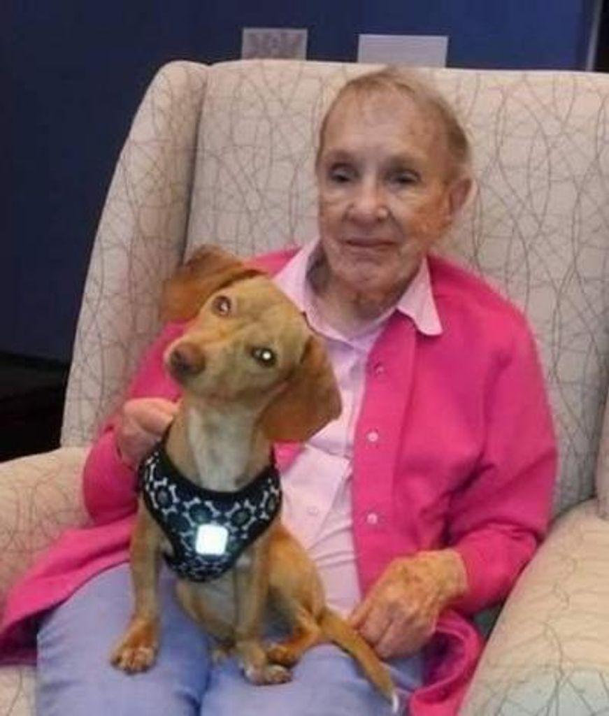 Dorothy D. Remsberg Profile Photo
