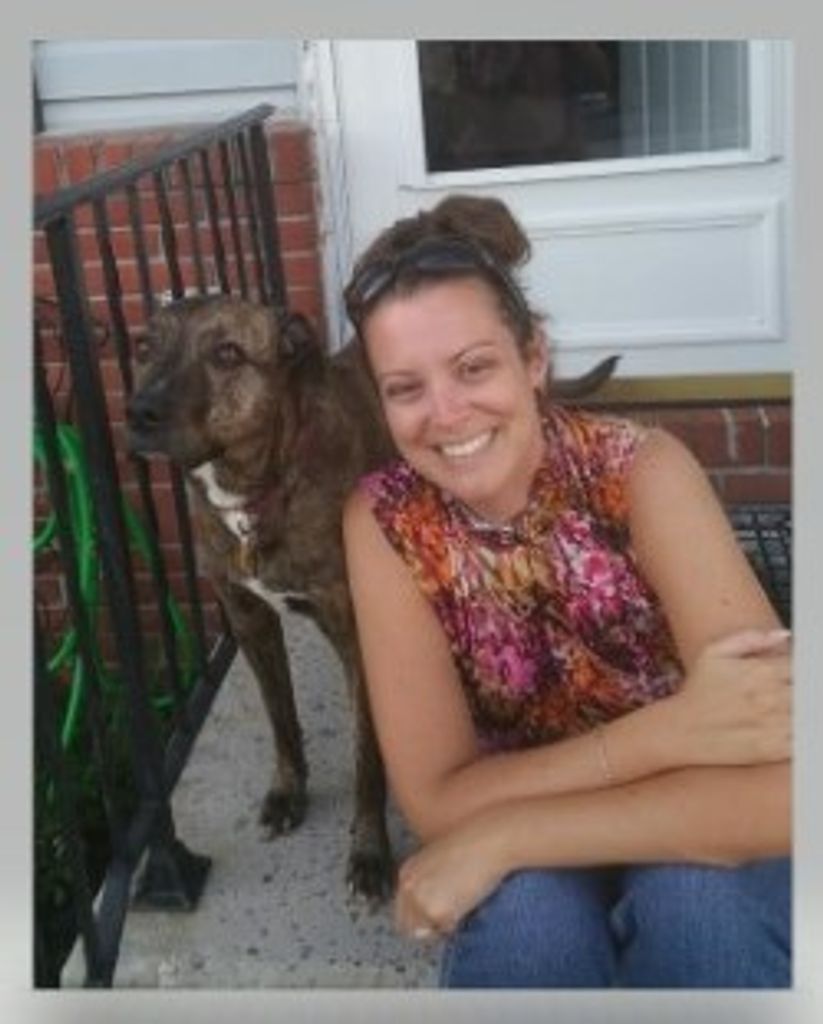 Cindy  L. Firestone Profile Photo