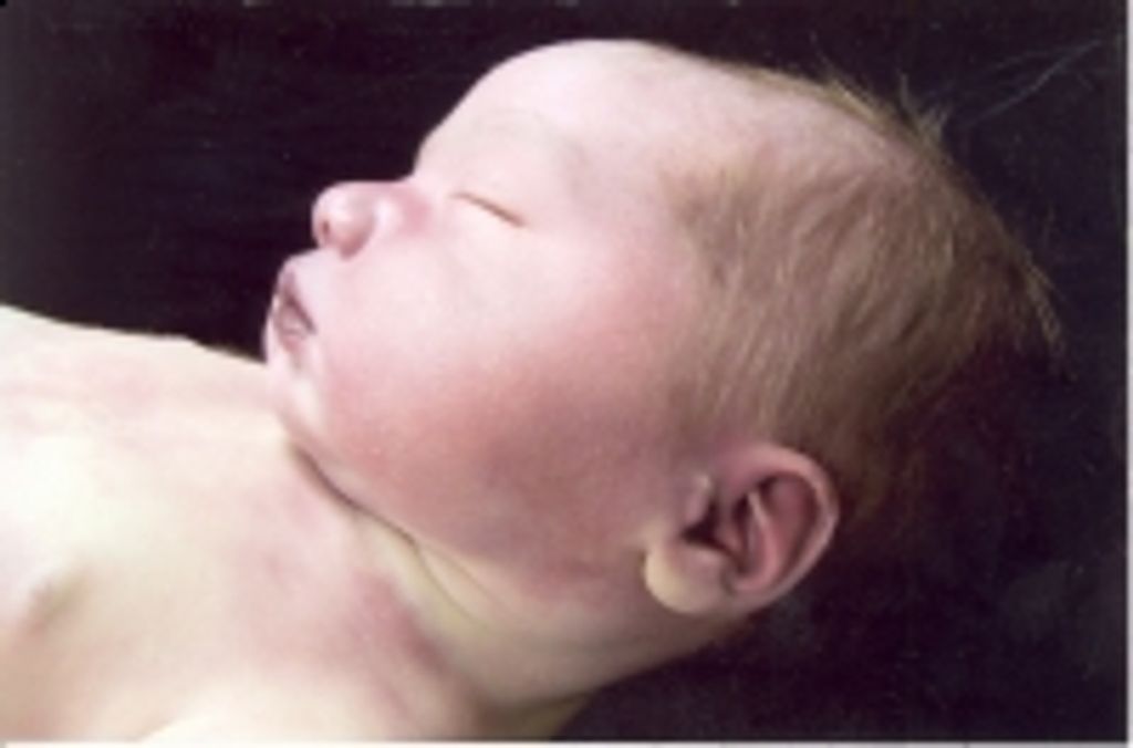 Justice Clayton Spaw