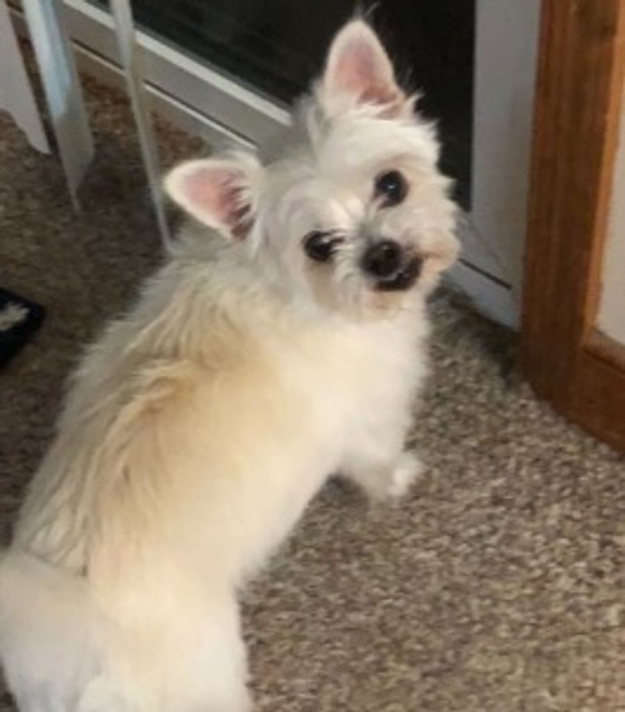 Jersey Carter Profile Photo