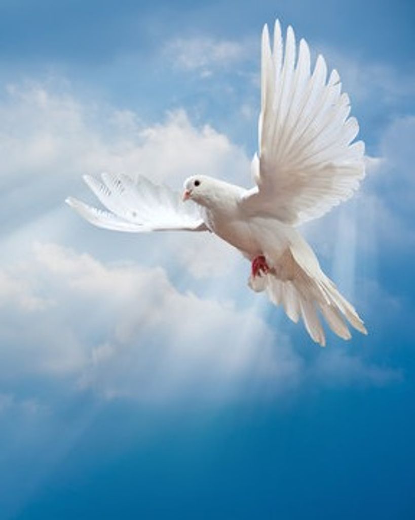 Willie James Watkins Profile Photo