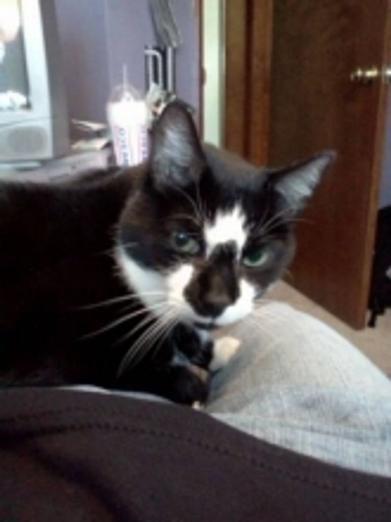 Oreo Dehoek Profile Photo