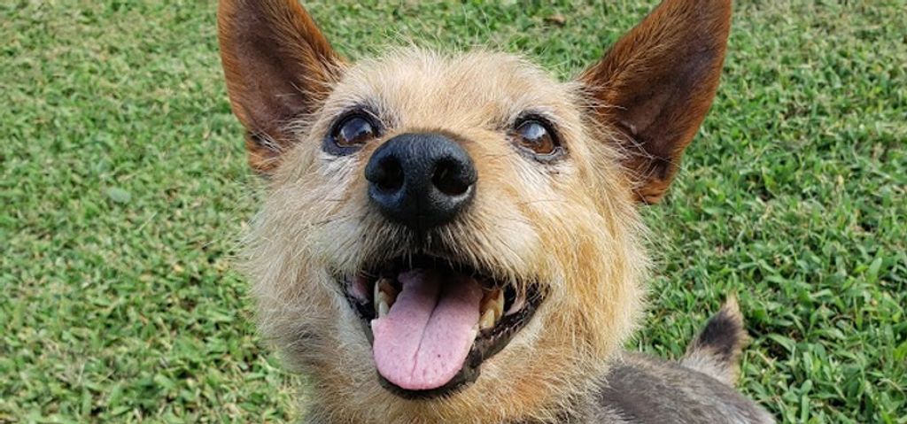 Buddy Profile Photo