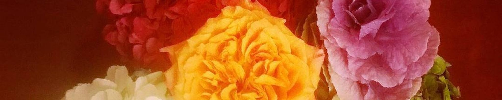 Cover photo for Lacye Suzanne Smedley Story's Obituary