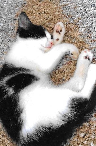 Linda L. Dilling photo gallery thumbnail 76 of 79