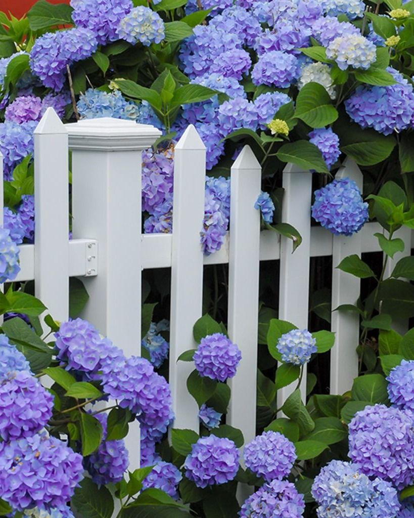 Margaret Ann Harmon Profile Photo