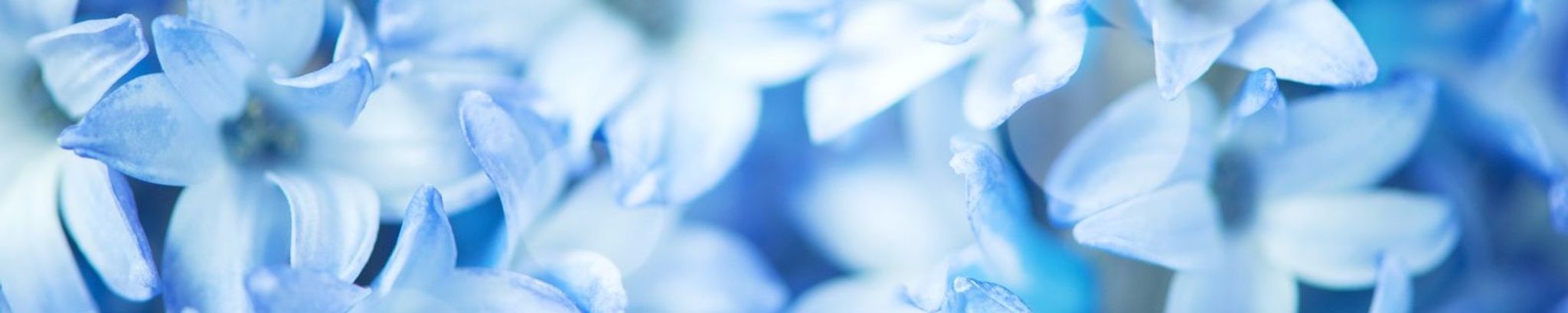 Cover photo for Marla Ann Harrell's Obituary