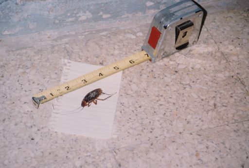 Margery A Schenk photo gallery thumbnail 40 of 125