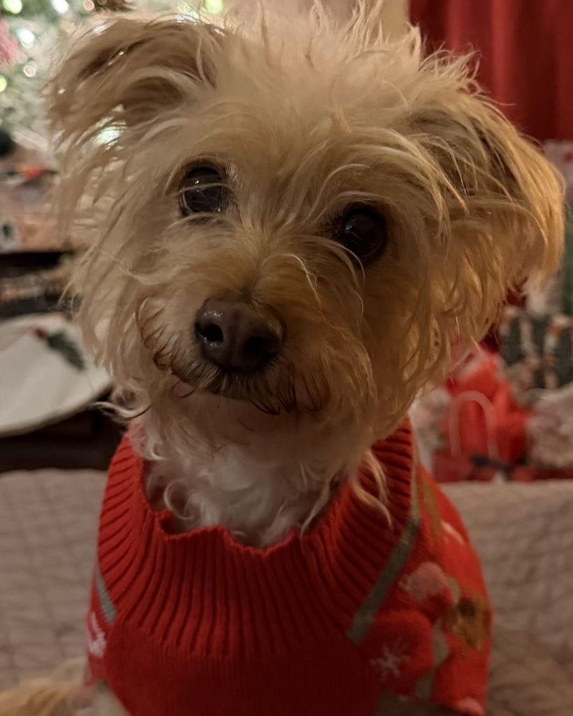 Lety 🖤 Profile Photo