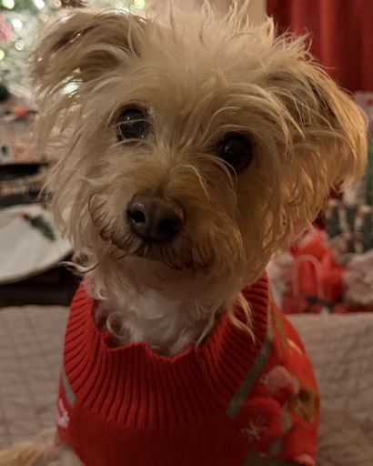 Lety ?'s obituary image