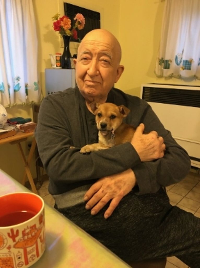 Rinaldo J Maurizi Profile Photo