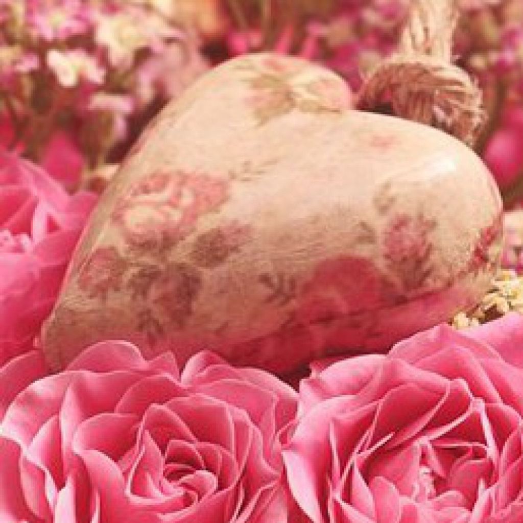 Nancy Rae Ballner Profile Photo