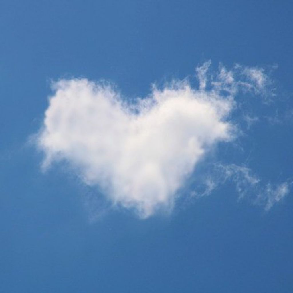 Kristin Ann Dawber Profile Photo