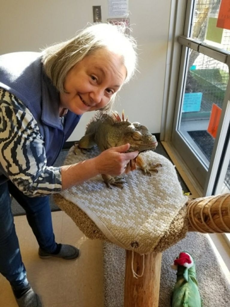 Martha Ann (Belshaw)  Rittmann