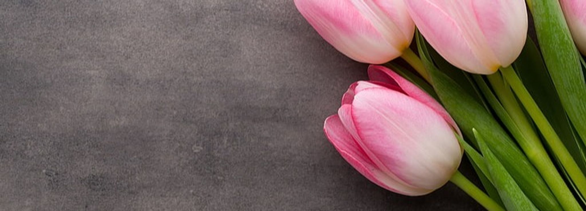 Cover photo for Patricia Reno's Obituary