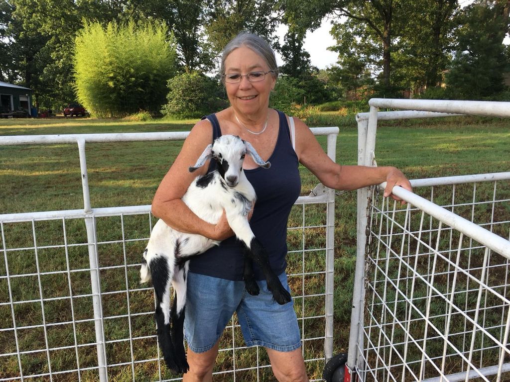 Laurie Sue Harberson