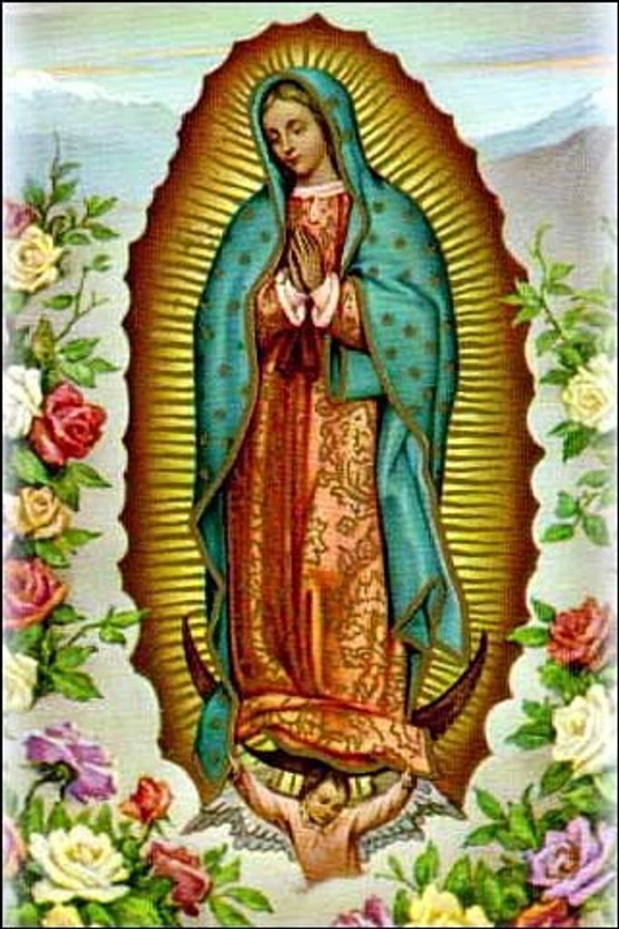 Guadalupe Lara Soreano