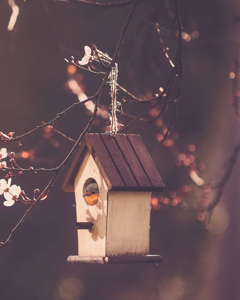 Merle Kay Hulse Profile Photo