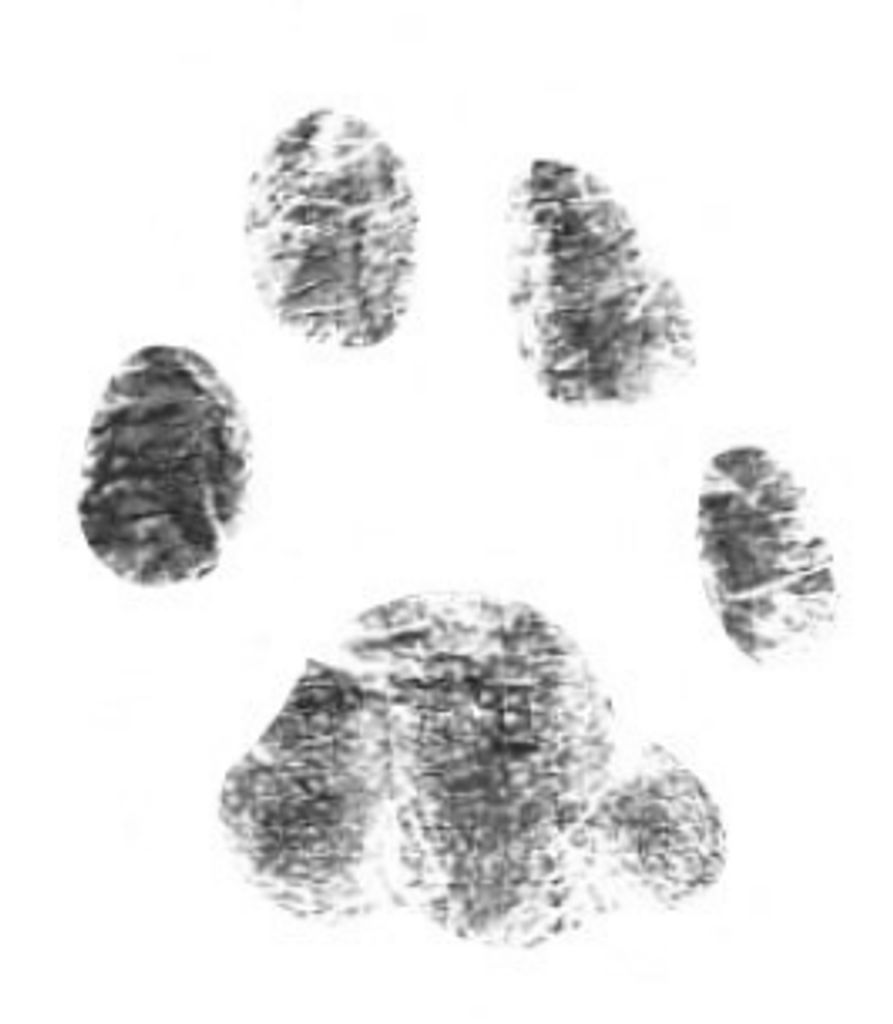 Radar Huffman