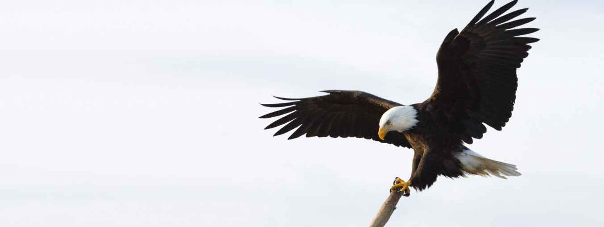 Cover for Robert R. Sheckler's Obituary