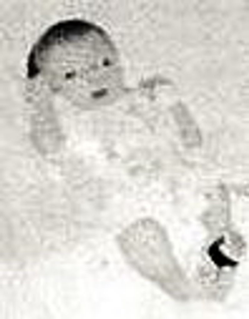 Kenneth Estel Krebbs