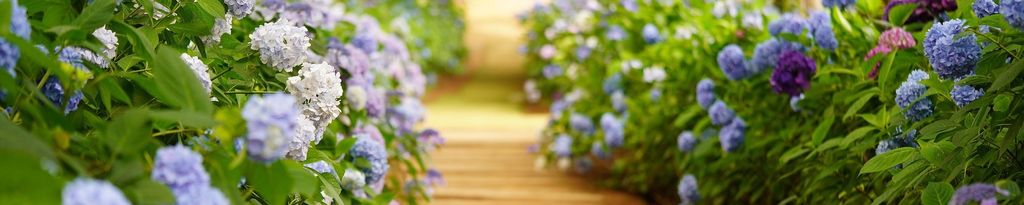 Cover photo for Betty "Pat" Ouzts's Obituary