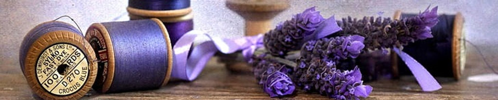Cover for Paula Pacyna's Obituary