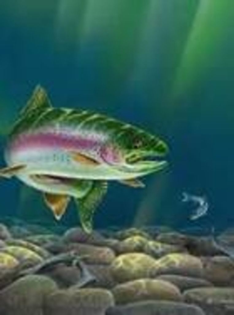 Oliver James Cromer Jr.