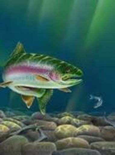 Oliver James Cromer Jr. Profile Photo