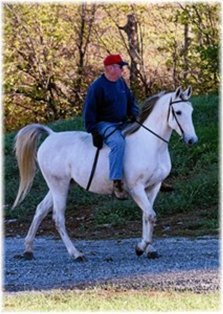 Samuel Lowery Straughn, Jr.